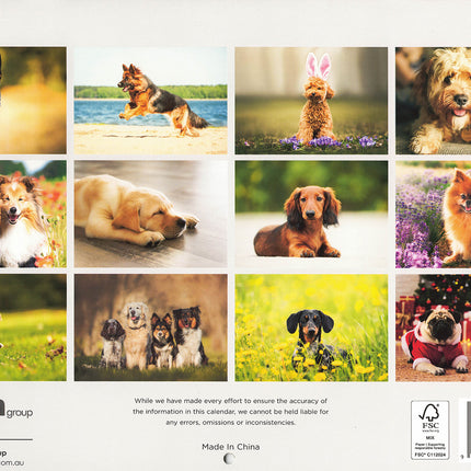 It's A Dog's Life 2027 Rectangle Wall Calendar Funny Dogs New Year Planner Gift