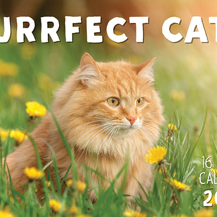 Purrfect Cats 2027 Rectangle Wall Calendar