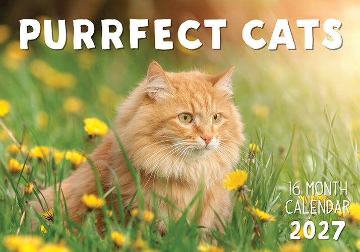 Purrfect Cats 2027 Rectangle Wall Calendar