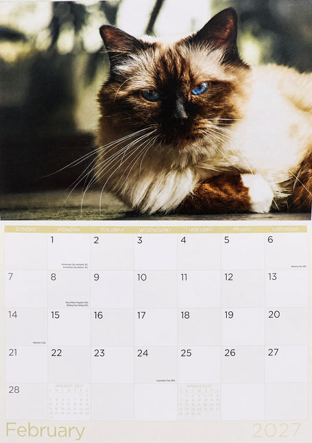 Purrfect Cats - 2027 Rectangle Wall Calendar 16 Month Pets New Year Planner Gift