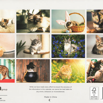 Purrfect Cats - 2027 Rectangle Wall Calendar 16 Month Pets New Year Planner Gift