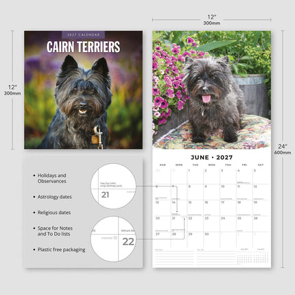 Cairn Terriers 2027 square wall calendar - product specifications