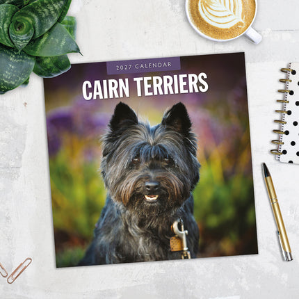 Cairn Terriers 2027 square wall calendar - image detail