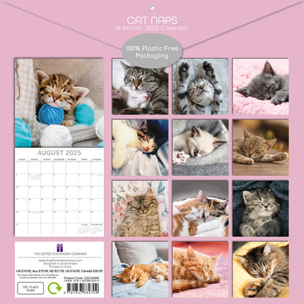 Cat Naps - 2025 Square Wall Calendar Pets Animals 16 Months Premium Planner Gift