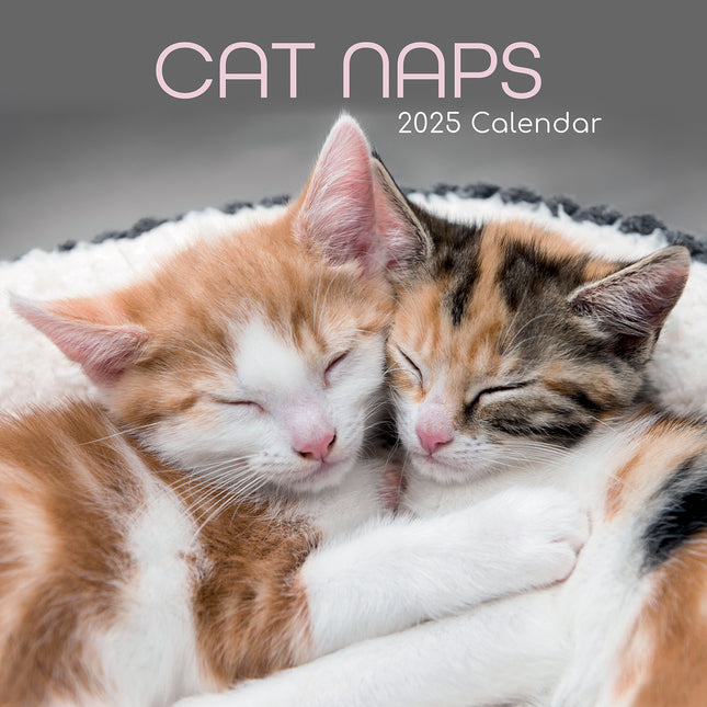 Cat Naps - 2025 Square Wall Calendar Pets Animals 16 Months Premium Planner Gift