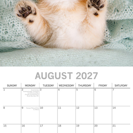 Cat Naps 2027 Square Wall Calendar August sample page