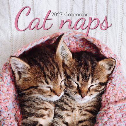 Cat Naps 2027 Square Wall Calendar cover