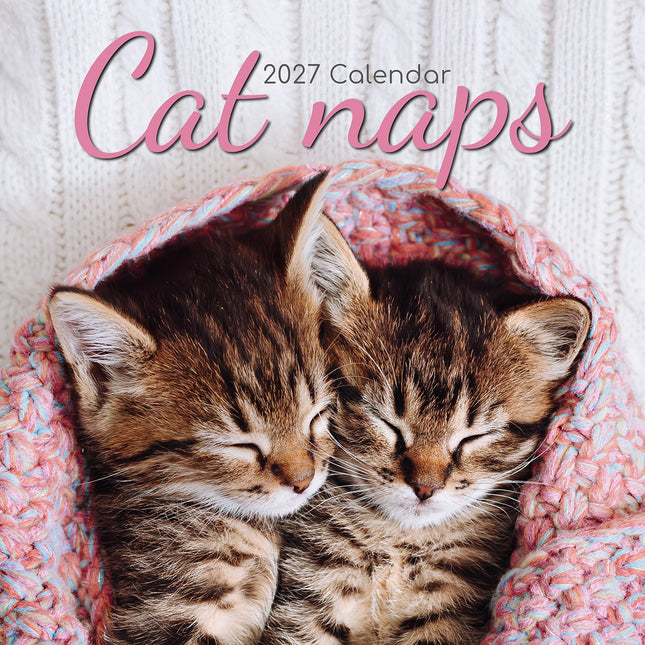 Cat Naps 2027 Square Wall Calendar cover