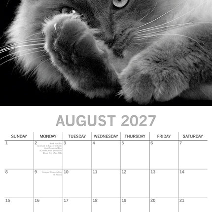 Cat Portraits 2027 Premium Square Wall Calendar August sample page