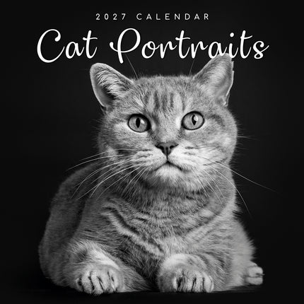 Cat Portraits 2027 Premium Square Wall Calendar cover