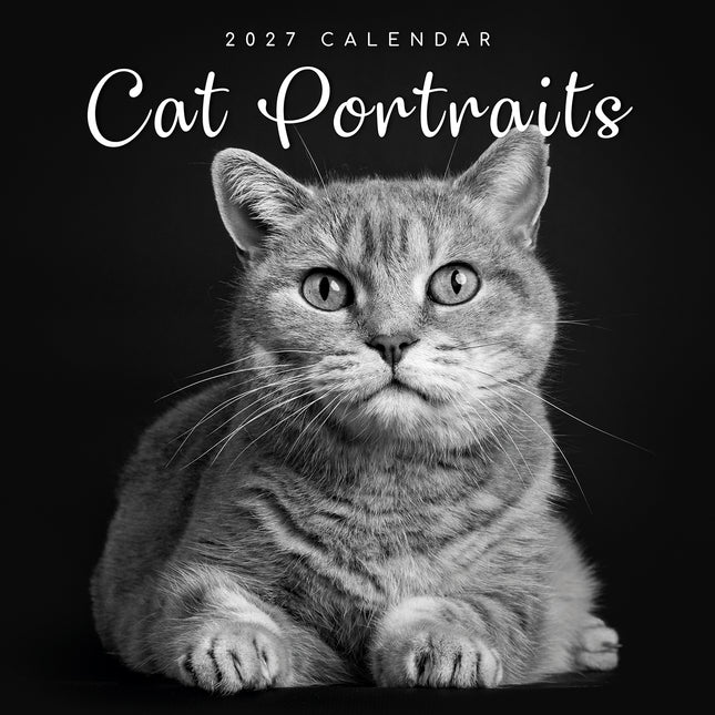 Cat Portraits 2027 Premium Square Wall Calendar cover