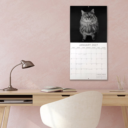 Cat Portraits 2027 Premium Square Wall Calendar lifestyle image