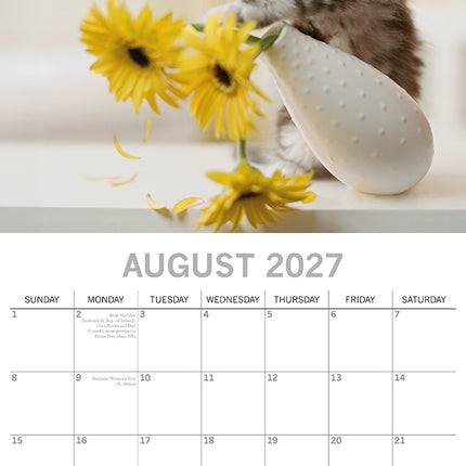 Cat Shaming 2027 Premium Square Wall Calendar August sample page