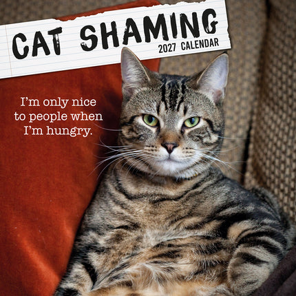Cat Shaming 2027 Premium Square Wall Calendar cover