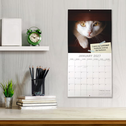 Cat Shaming 2027 Premium Square Wall Calendar lifestyle image