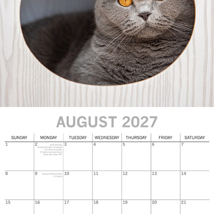 Cats 2027 Premium Square Wall Calendar August sample page