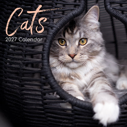 Cats 2027 Premium Square Wall Calendar cover