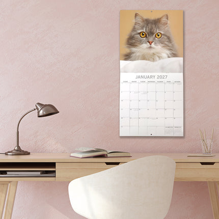Cats 2027 Premium Square Wall Calendar lifestyle image