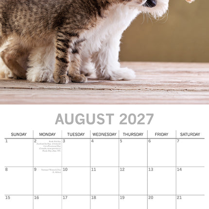 Cats & Dogs 2027 Premium Square Wall Calendar August sample page