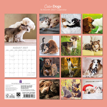 Cats & Dogs 2027 Premium Square Wall Calendar back cover