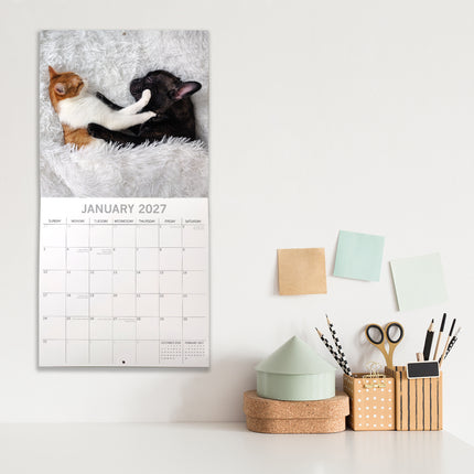 Cats & Dogs 2027 Premium Square Wall Calendar lifestyle image