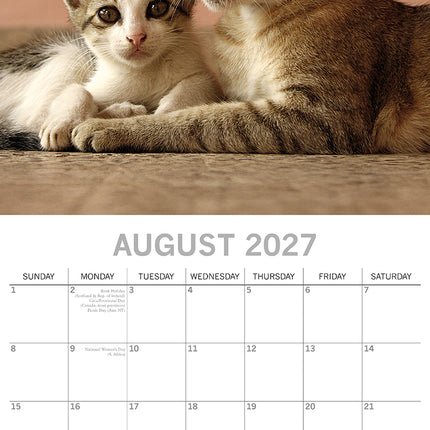 Cats & Kittens 2027 Premium Square Wall Calendar August sample page
