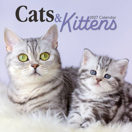 Cats & Kittens 2027 Premium Square Wall Calendar cover