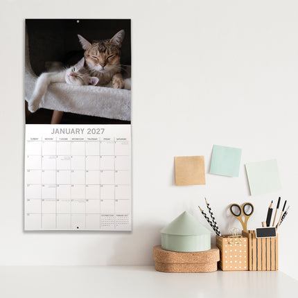Cats & Kittens 2027 Premium Square Wall Calendar lifestyle image