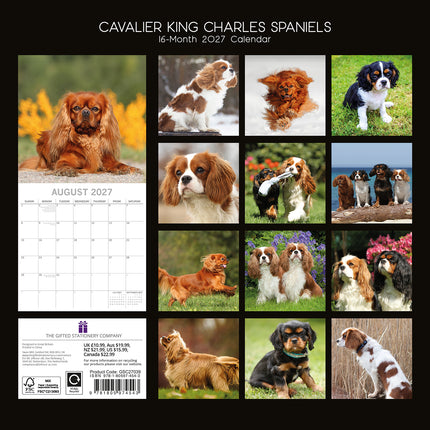 Cavalier King Charles Spaniels 2027 Premium Square Wall Calendar back cover