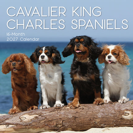 Cavalier King Charles Spaniels 2027 Premium Square Wall Calendar cover
