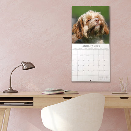 Cavapoos 2027 Premium Square Wall Calendar lifestyle image