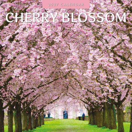 Cherry Blossom 2027 square wall calendar - front cover