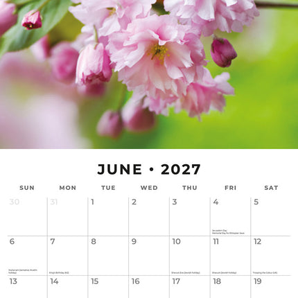 Cherry Blossom 2027 square wall calendar - monthly calendar spread