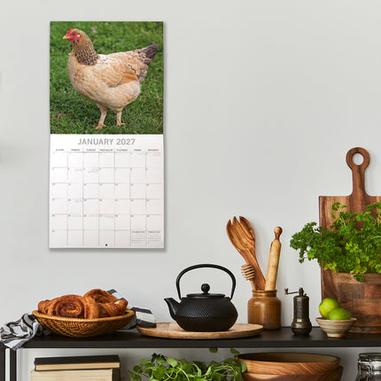 Chickens 2027 Square Wall Calendar lifestyle image