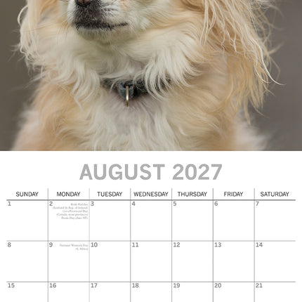 Chihuahuas 2027 Premium Square Wall Calendar August sample page