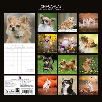 Chihuahuas 2027 Premium Square Wall Calendar back cover