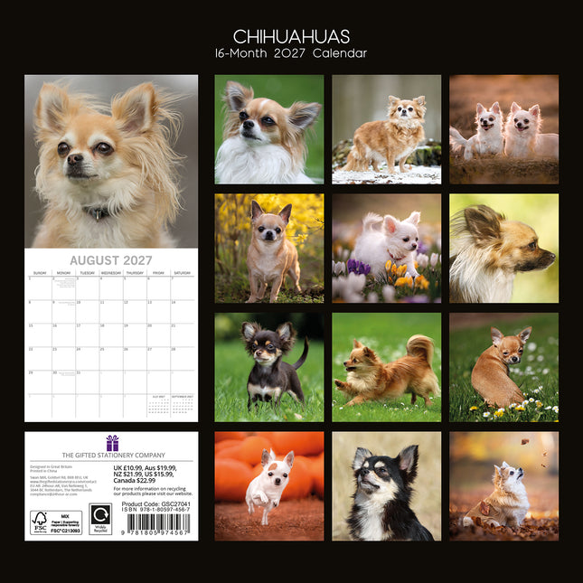 Chihuahuas 2027 Premium Square Wall Calendar back cover