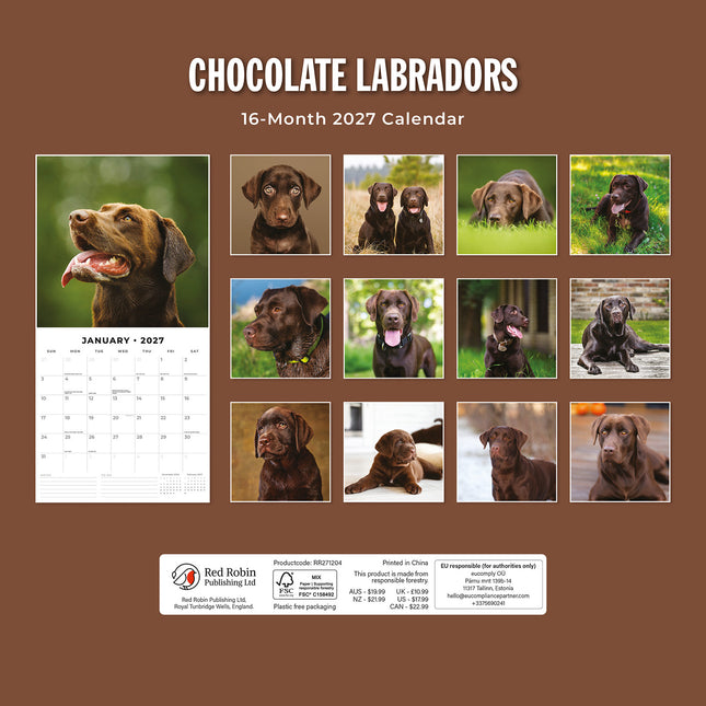 Chocolate Labradors 2027 square wall calendar - back cover