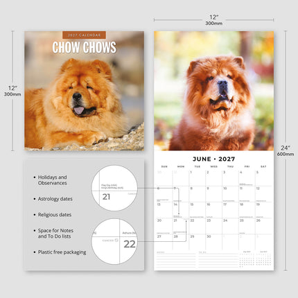 Chow Chows 2027 square wall calendar - product specifications