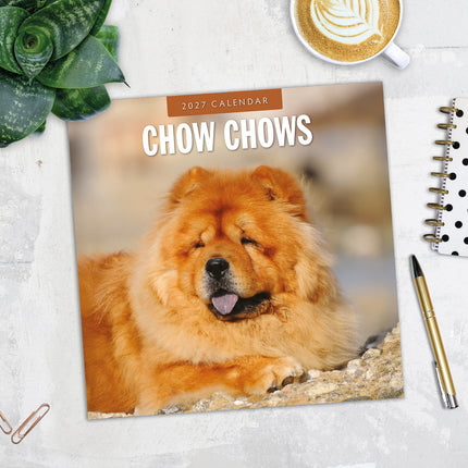 Chow Chows 2027 square wall calendar - image detail