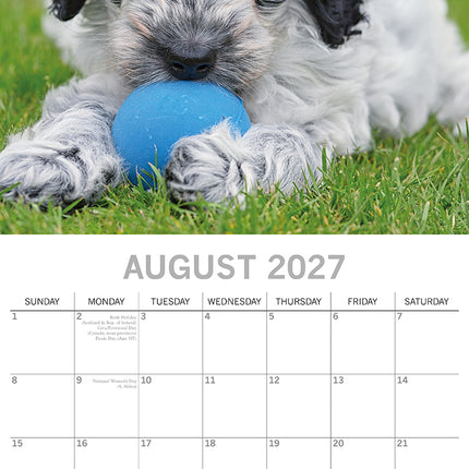 Cockapoos 2027 Premium Square Wall Calendar August sample page
