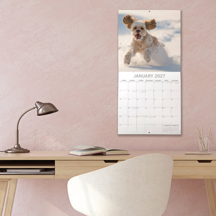Cockapoos 2027 Premium Square Wall Calendar lifestyle image