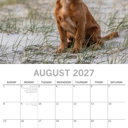 Cocker Spaniels 2027 Premium Square Wall Calendar August sample page