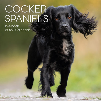 Cocker Spaniels 2027 Premium Square Wall Calendar cover