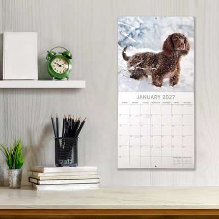 Cocker Spaniels 2027 Premium Square Wall Calendar lifestyle image