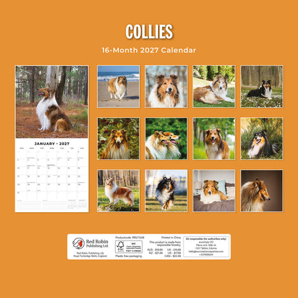 Collies 2027 square wall calendar - back cover