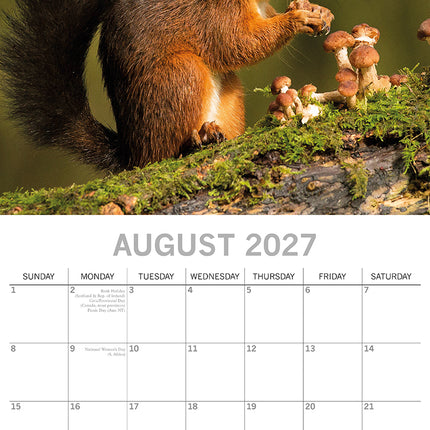 Country Wildlife 2027 Square Wall Calendar August sample page