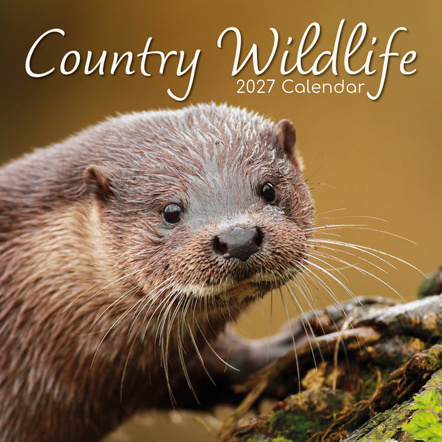Country Wildlife 2027 Square Wall Calendar cover