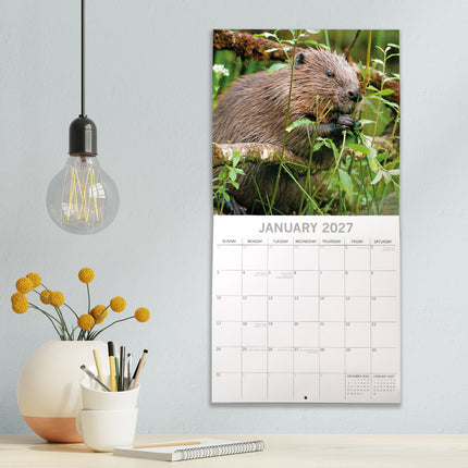 Country Wildlife 2027 Square Wall Calendar lifestyle image