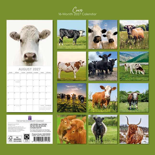 Cows 2027 Square Wall Calendar back cover